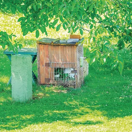 Brnjci Nedeščina